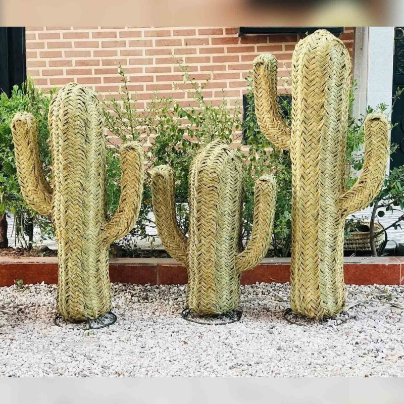 Cactus de Esparto Vegetal